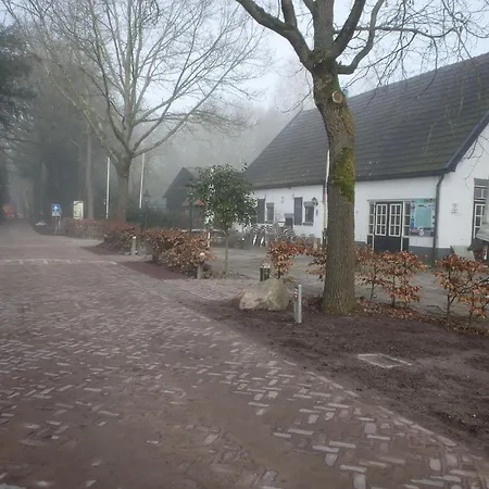 H8 אתר קמפינג *