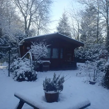 H8 مكان تخييم *