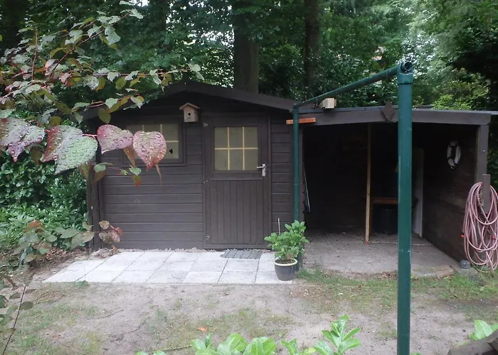 H8 مكان تخييم