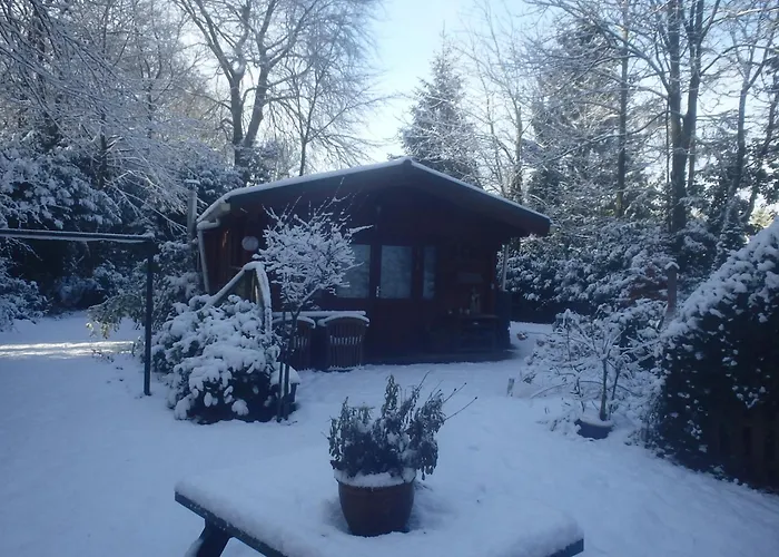 H8 مكان تخييم *